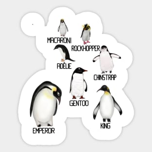 Labeled Antarctic Penguins Sticker